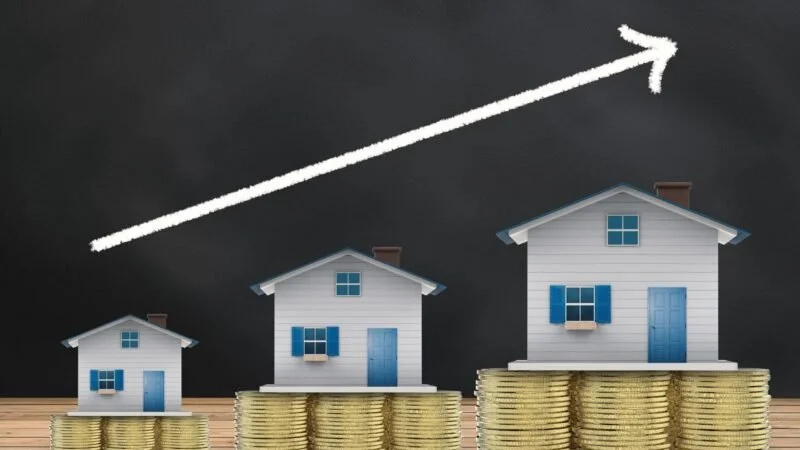 Créer une holding pour gérer vos investissements locatifs : quels avantages fiscaux ?